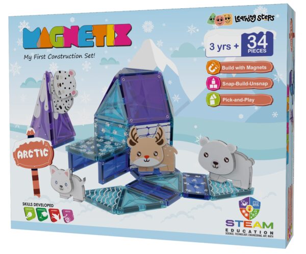 Magnetix Arctic